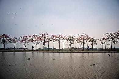 《GTA6》代餐？前GTA系列制作人新作《心之眼》实机演示